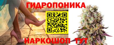стаф Пыть-Ях