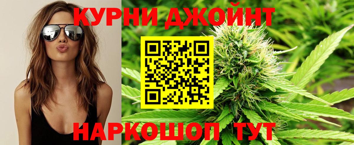 Конопля гибрид Тавда